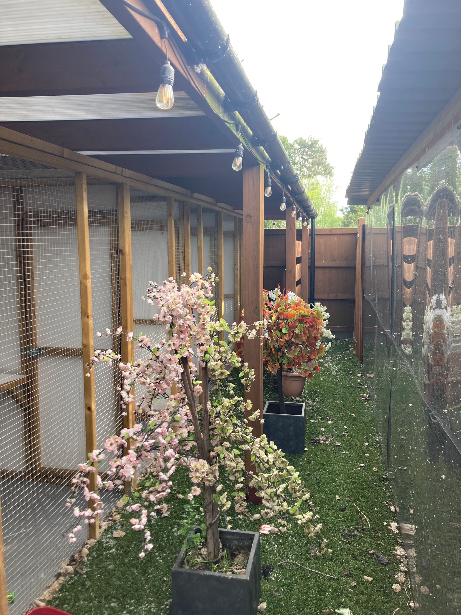 Pine Farm Kennels About Us